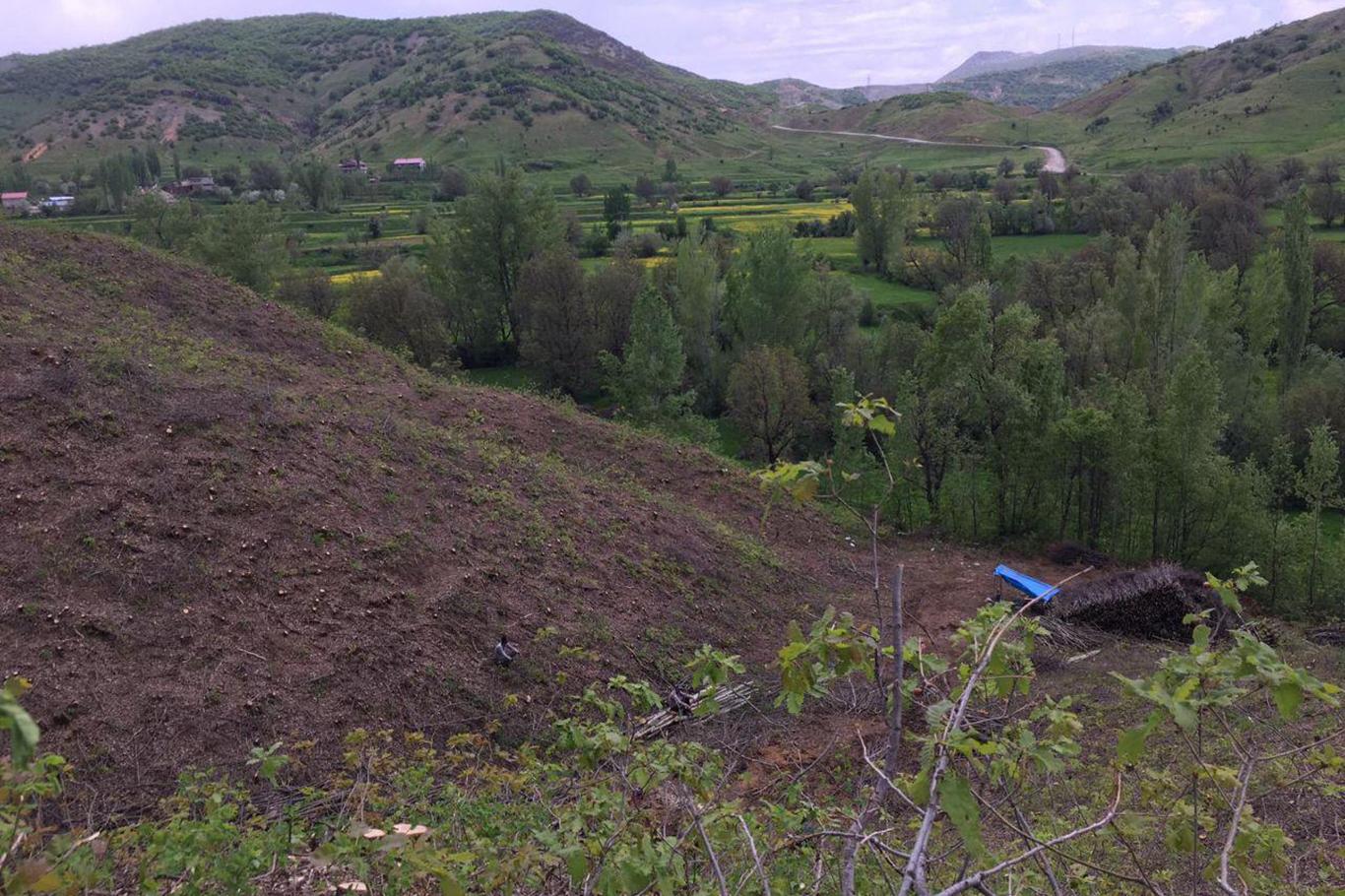Odun toplamaya gidenlere ateş açıldı: Bir kişi hayatını kaybetti Odun toplamaya gidenlere ateş açıldı: Bir kişi hayatını kaybetti